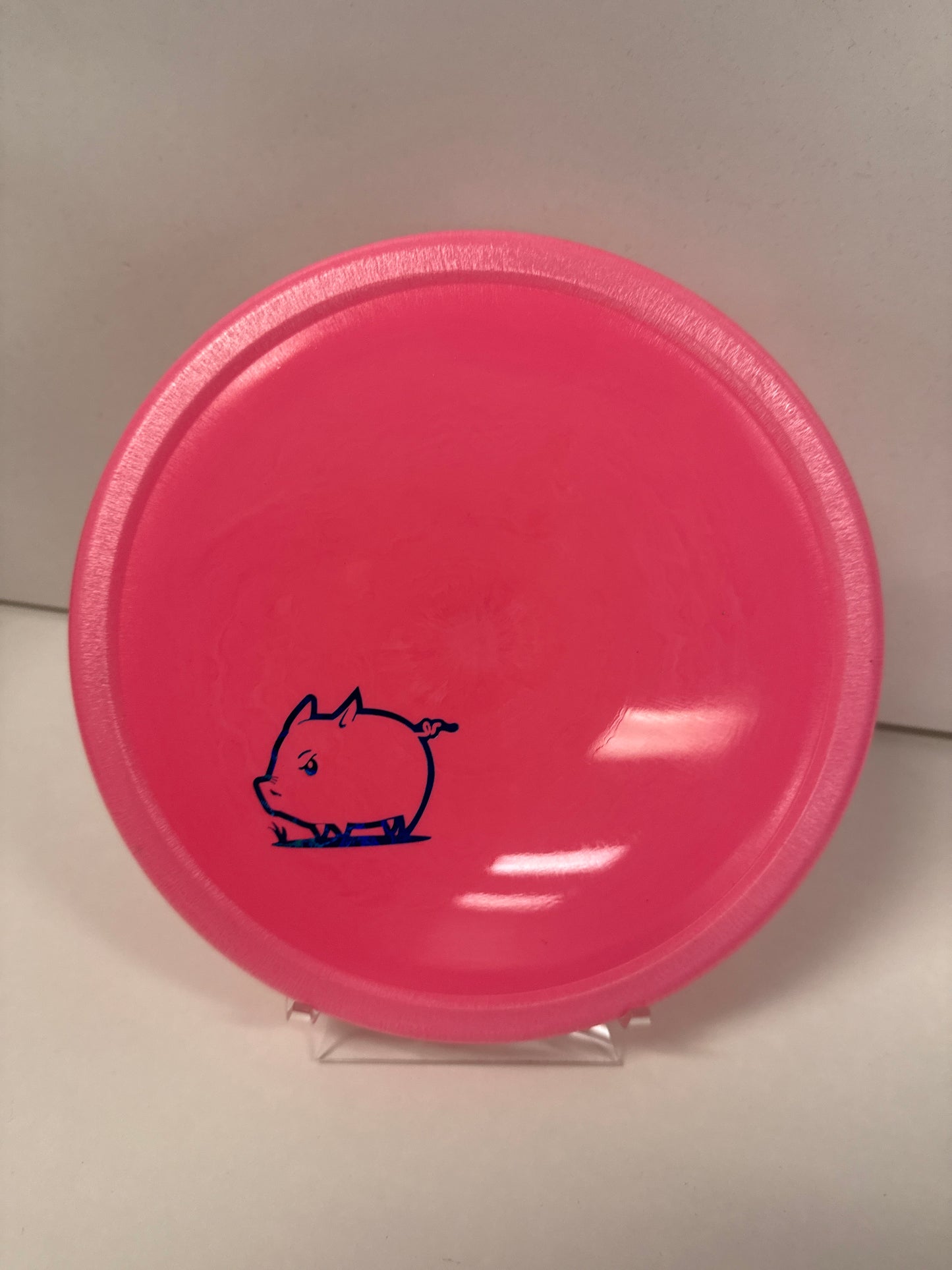 Innova Star Pig
